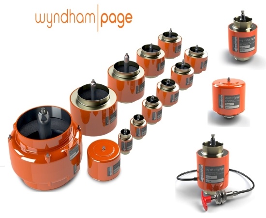 WYNDHAM E SERIES SAFETY VALVES